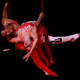 Illustration for article titled Performers Fly Through The Air With The Greatest Of Ease